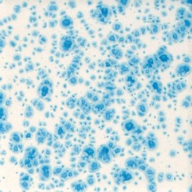 Dutch Enamelware - 16 oz Mayco Jungle Gem Crystal Glaze